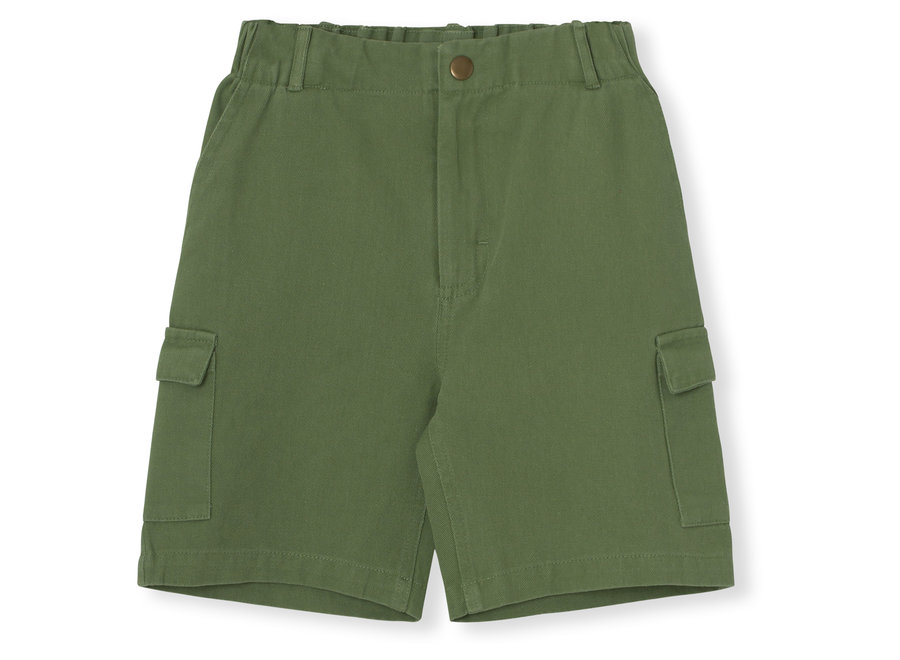 AMIC - Max Shorts · Dill