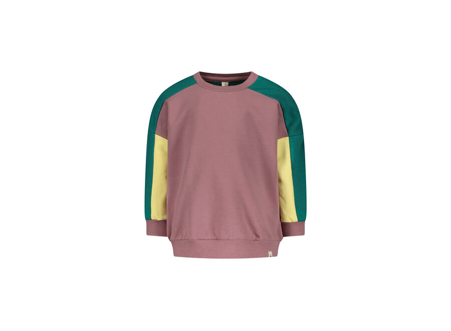 The New Chapter - Sweater Micha Cameo pink