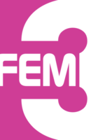 national FEM 3
