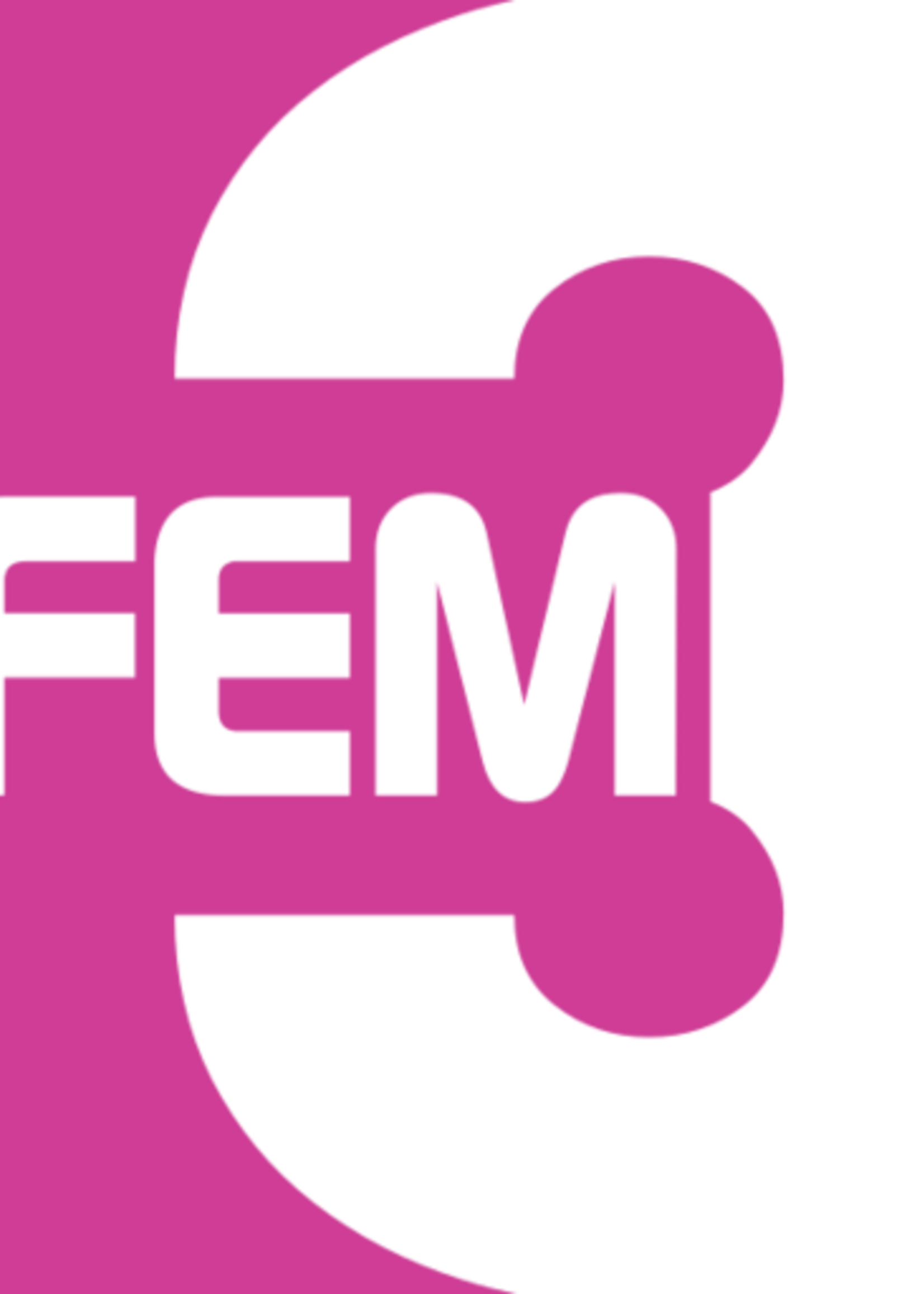 national FEM 3