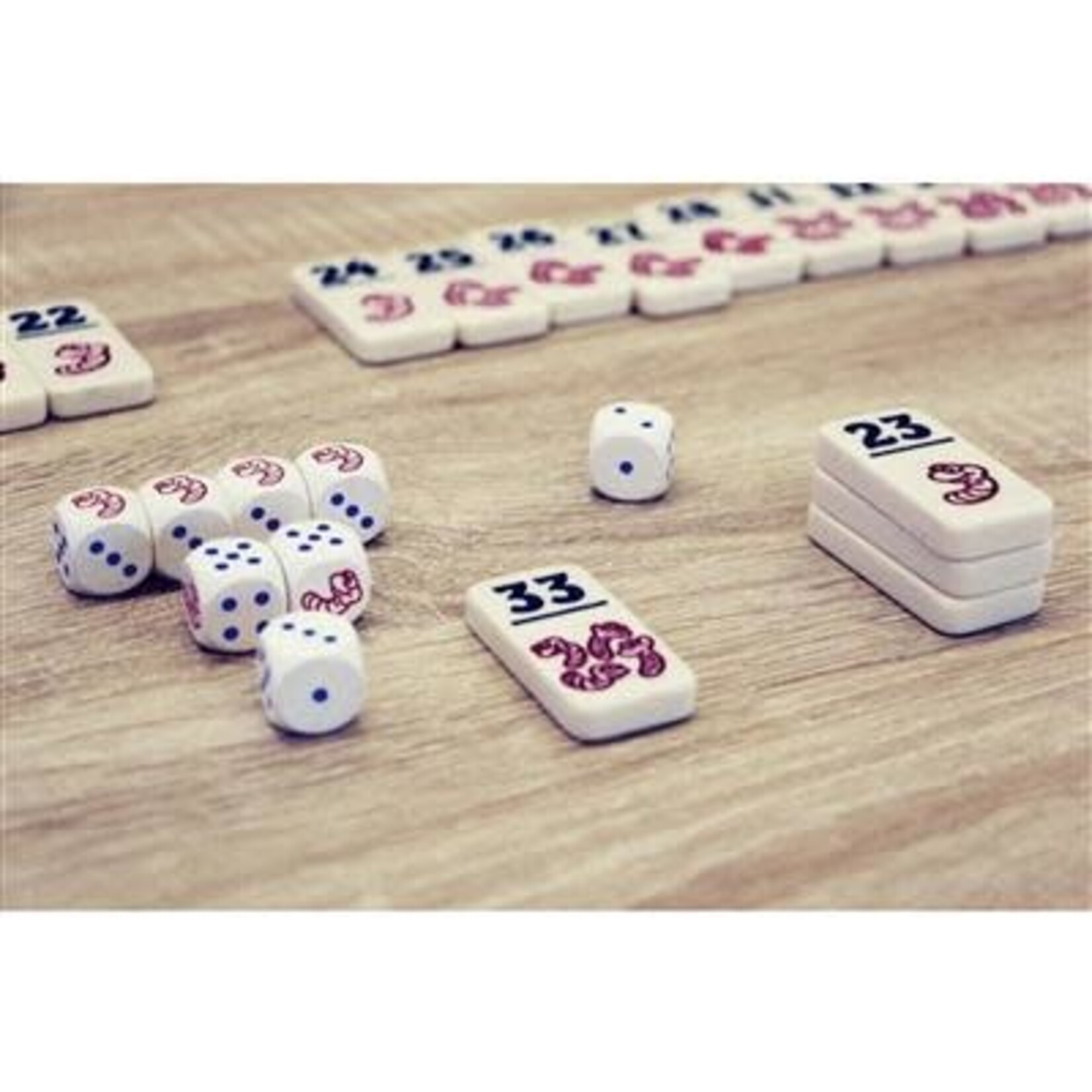 999 Games SPEL REGENWORMEN