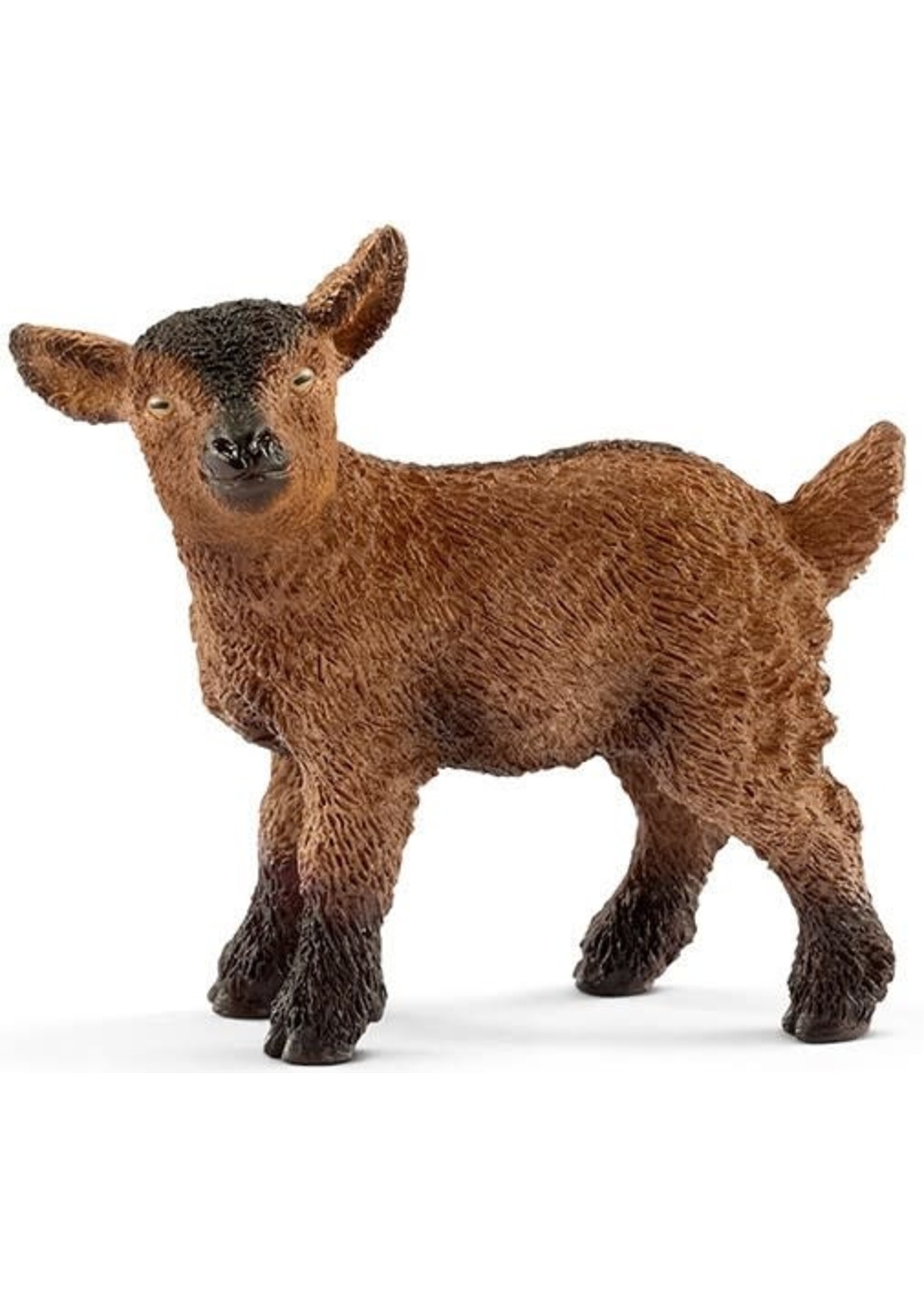 Schleich Geitenjong Schleich (13829)