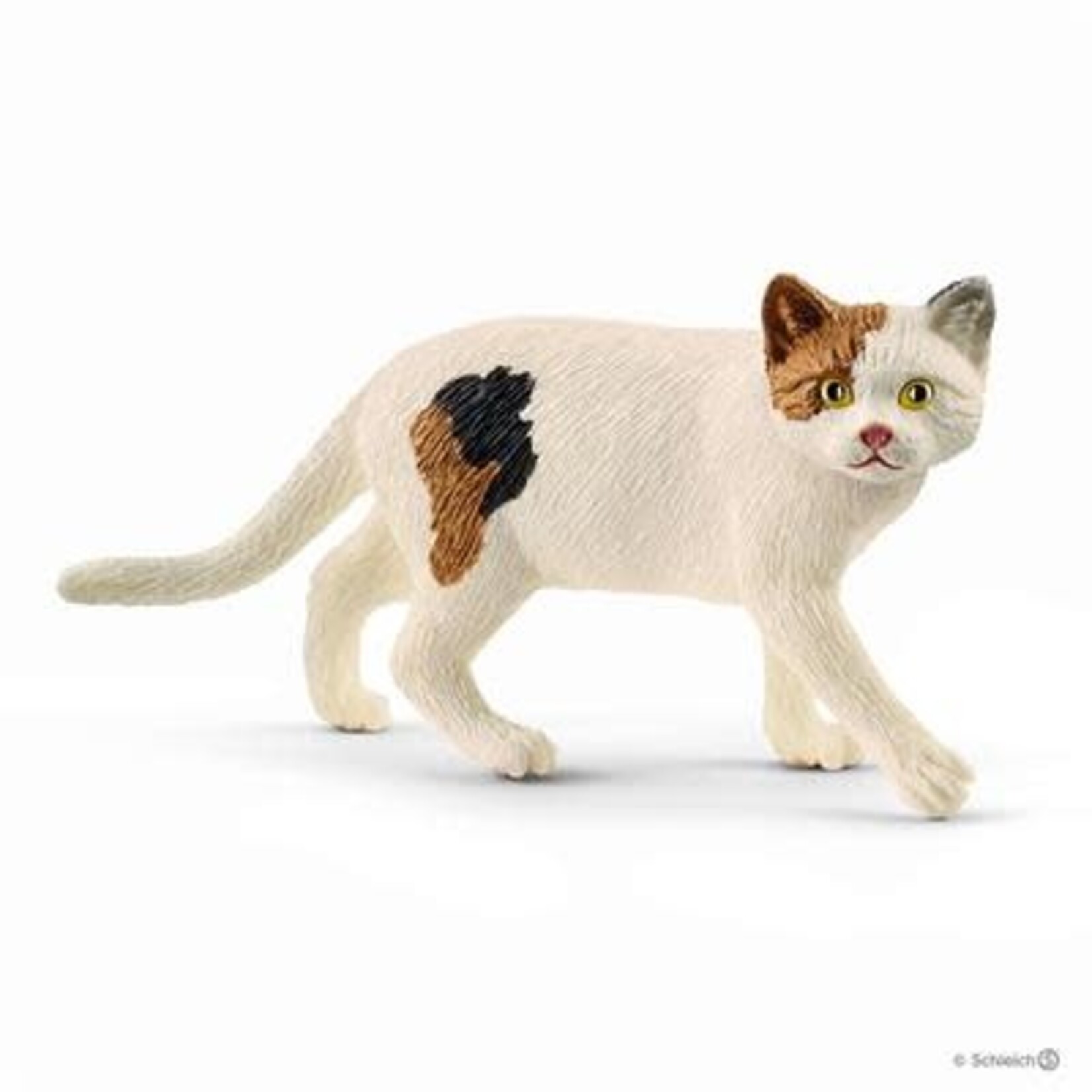 Schleich SCHLEICH - FARM WORLD - 13894 AMERIKAANSE KORTHAAR