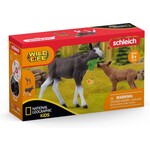 Schleich SCHLEICH - WILD LIFE - 42603 ELAND MET KALF