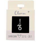 Express Yourself Hanger Sterrenbeeld Steenbok zilverkleurig