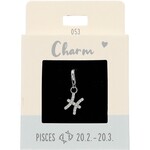 Express Yourself Hanger Sterrenbeeld Vissen  zilverkleurig