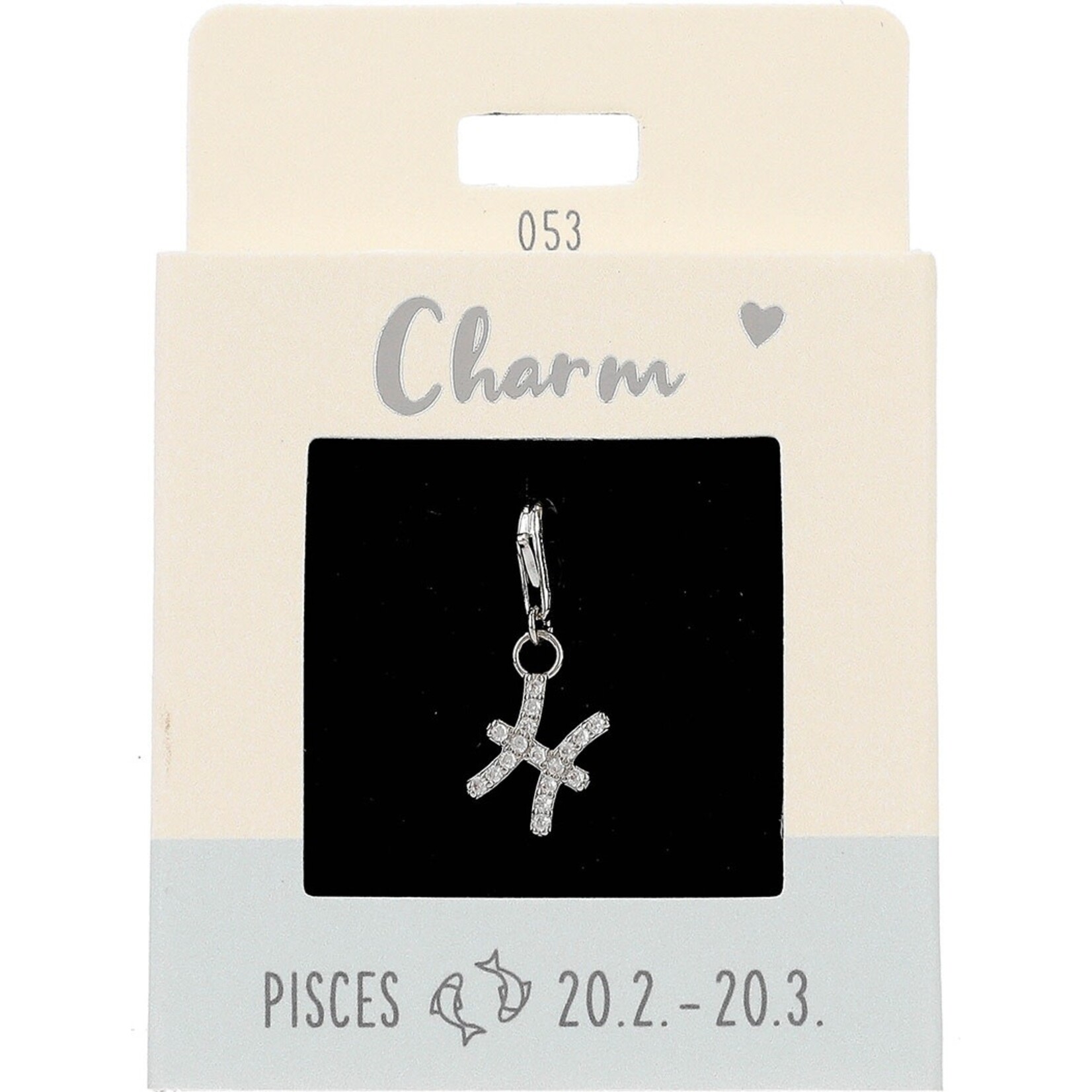 Express Yourself Hanger Sterrenbeeld Vissen  zilverkleurig
