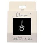 Express Yourself Hanger Sterrenbeeld Stier zilverkleurig