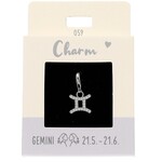Express Yourself Hanger Sterrenbeeld Tweelingen zilverkleurig