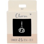 Express Yourself Hanger Sterrenbeeld Kreeft zilverkleurig