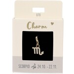 Express Yourself Hanger Sterrenbeeld schorpioen goudkleurig