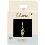 Express Yourself Hanger Miracle