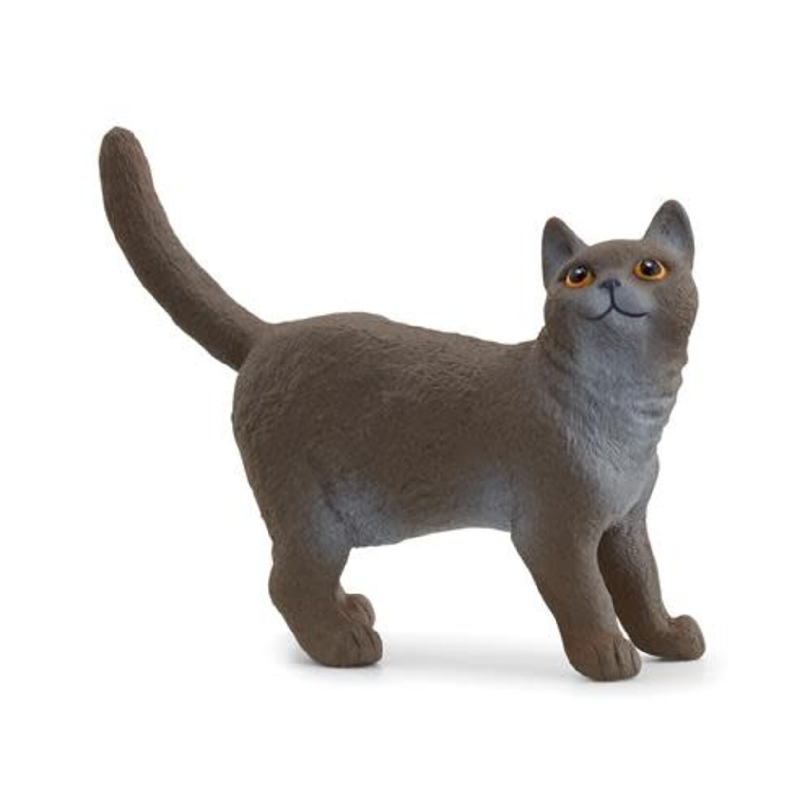 Schleich SCHLEICH - FARM WORLD - 13973 BRITSE KORTHAAR KAT