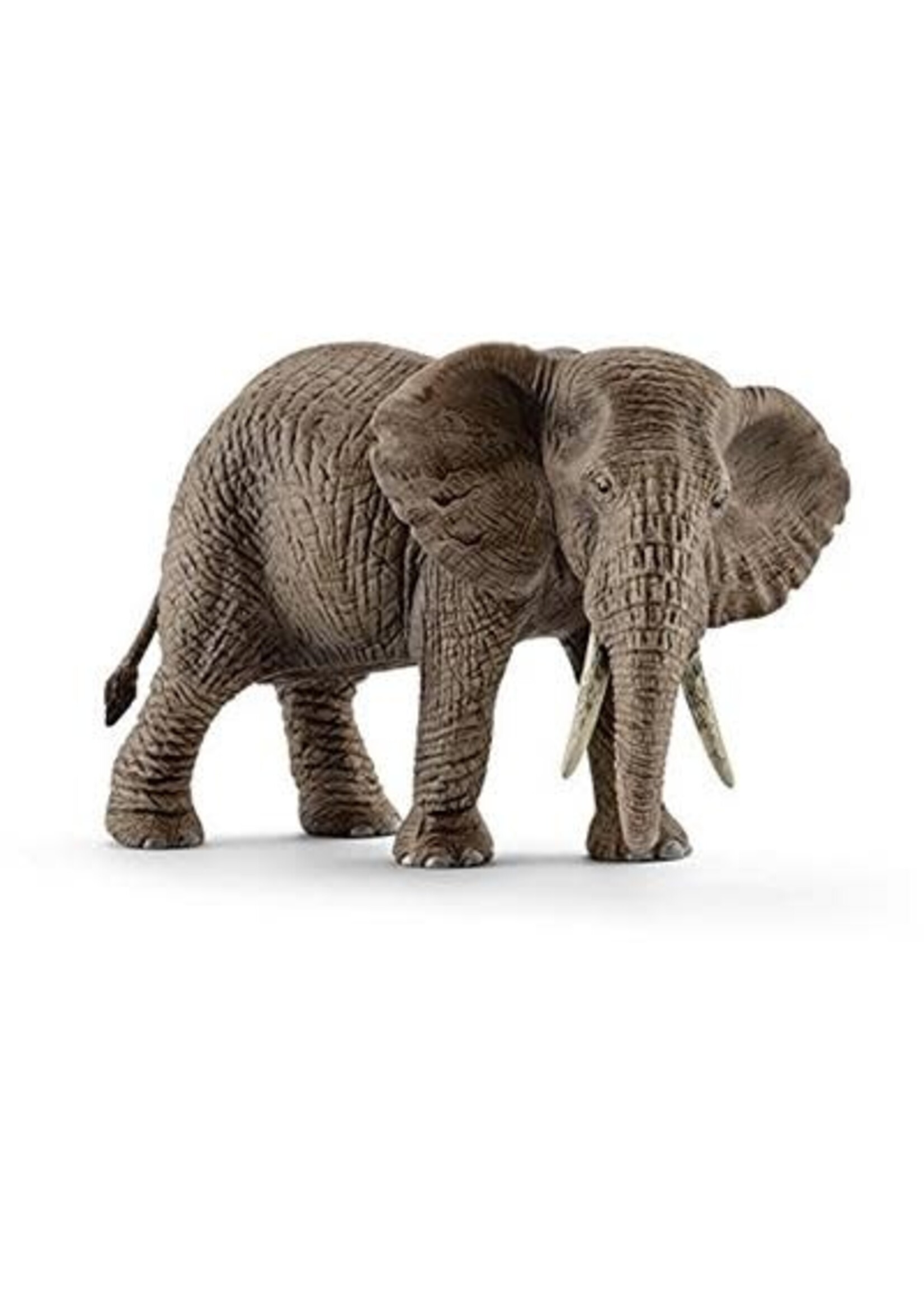 Schleich SCHLEICH 14761 AFRIKAANSE OLIFANT, VROUWTJE