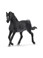 Schleich SCHLEICH - HORSE CLUB - 13981 ARABISCHE HENGST