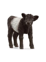 Schleich SCHLEICH - FARM WORLD - 13969 GALLOWAY KALF