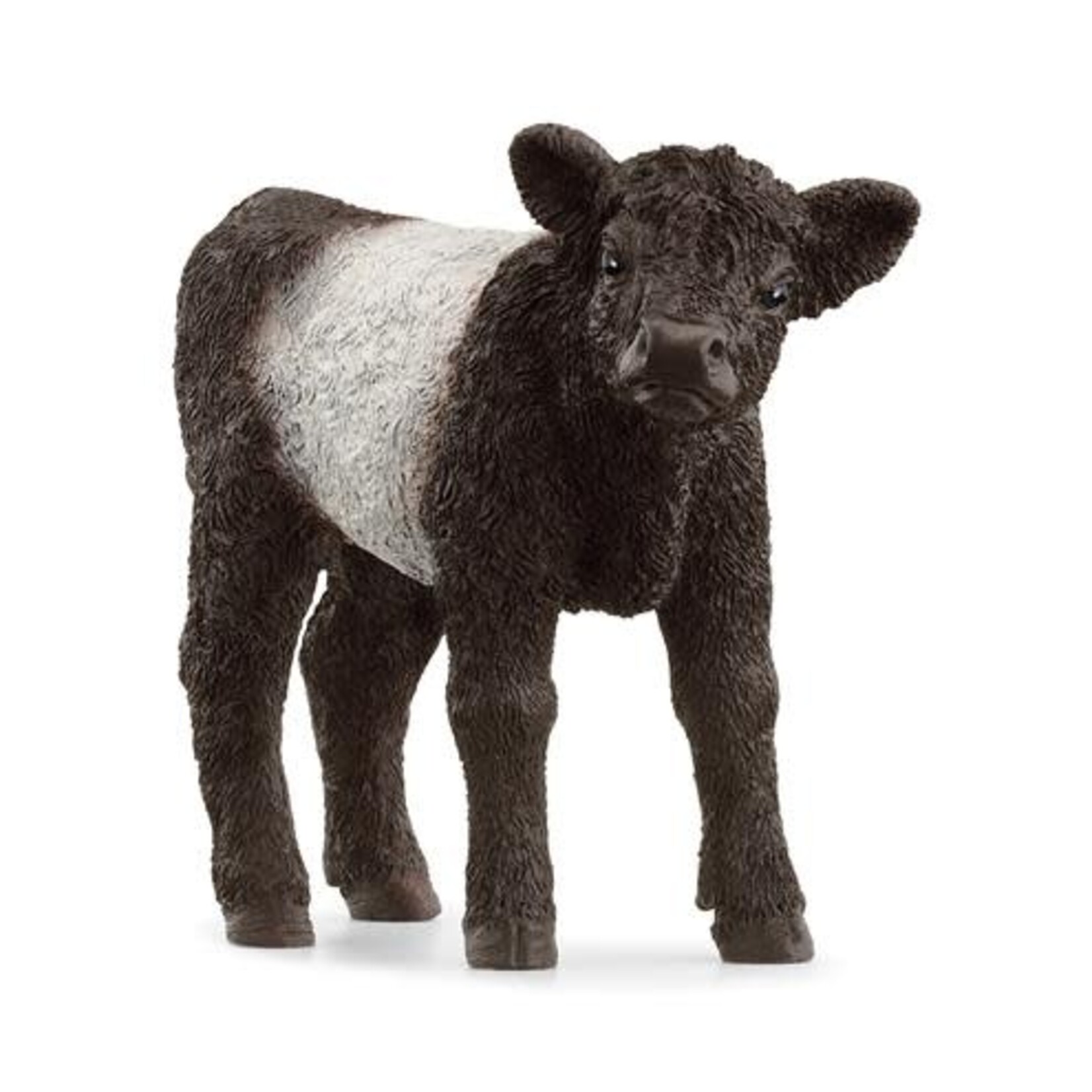 Schleich SCHLEICH - FARM WORLD - 13969 GALLOWAY KALF