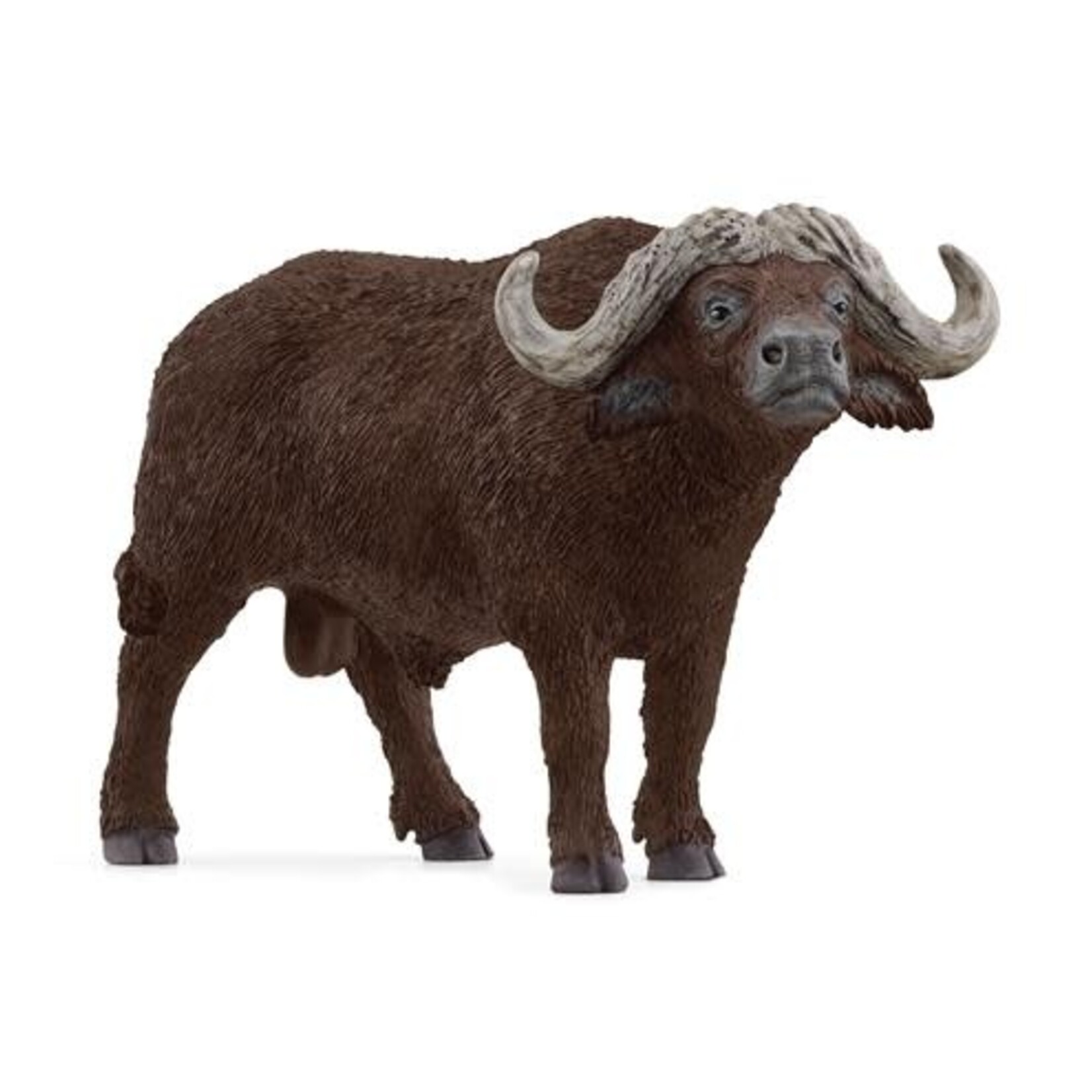 Schleich SCHLEICH - WILD LIFE - 14872 AFRIKAANSE BUFFEL