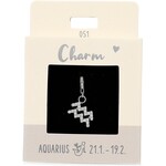 Express Yourself Hanger Sterrenbeeld Waterman  zilverkleurig