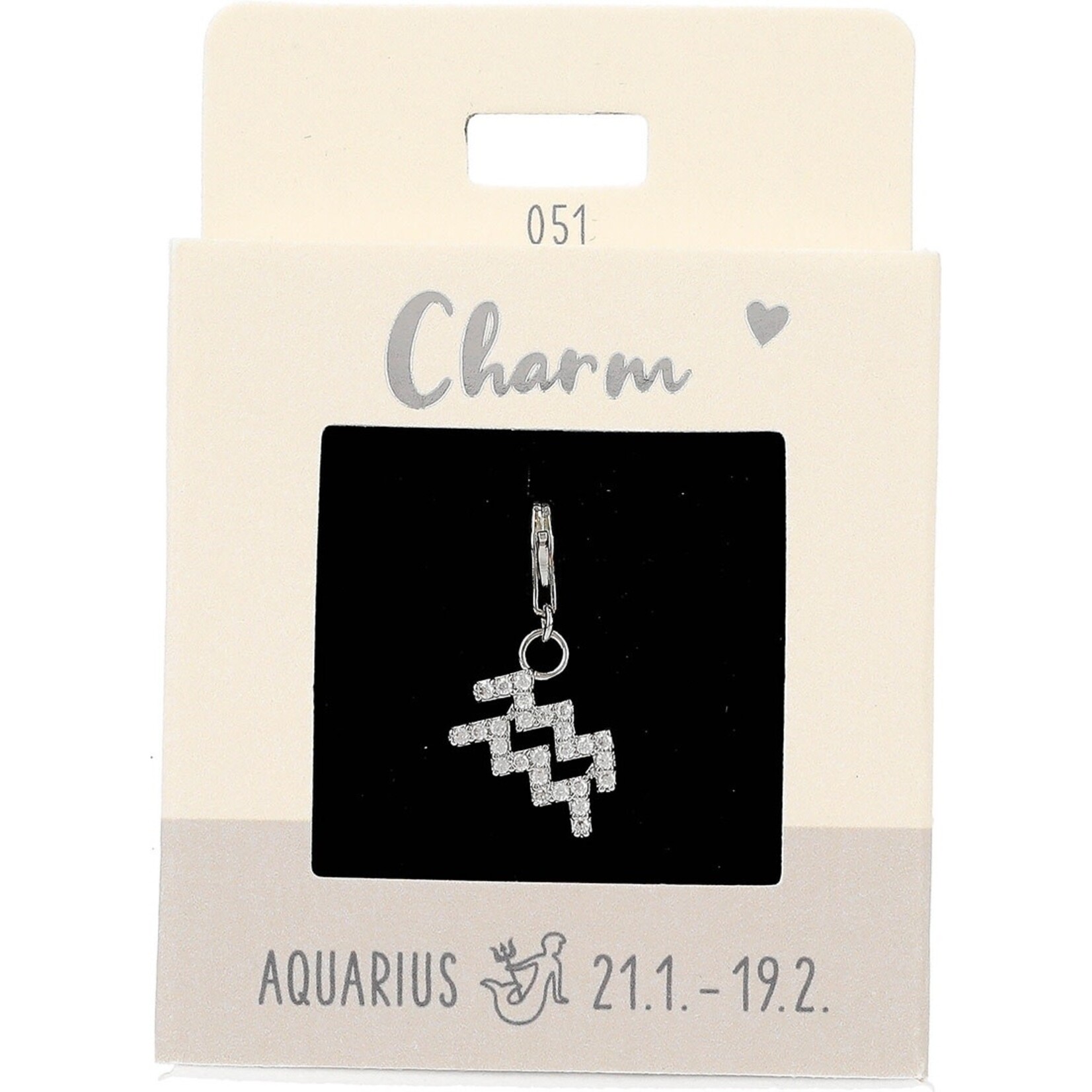 Express Yourself Hanger Sterrenbeeld Waterman  zilverkleurig