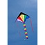 Eco Line HQ SIMPLE FLYER 120 RAINBOW - VLIEGER