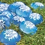 Nerf Nerf Super Soaker Better than Balloons 36 stuks