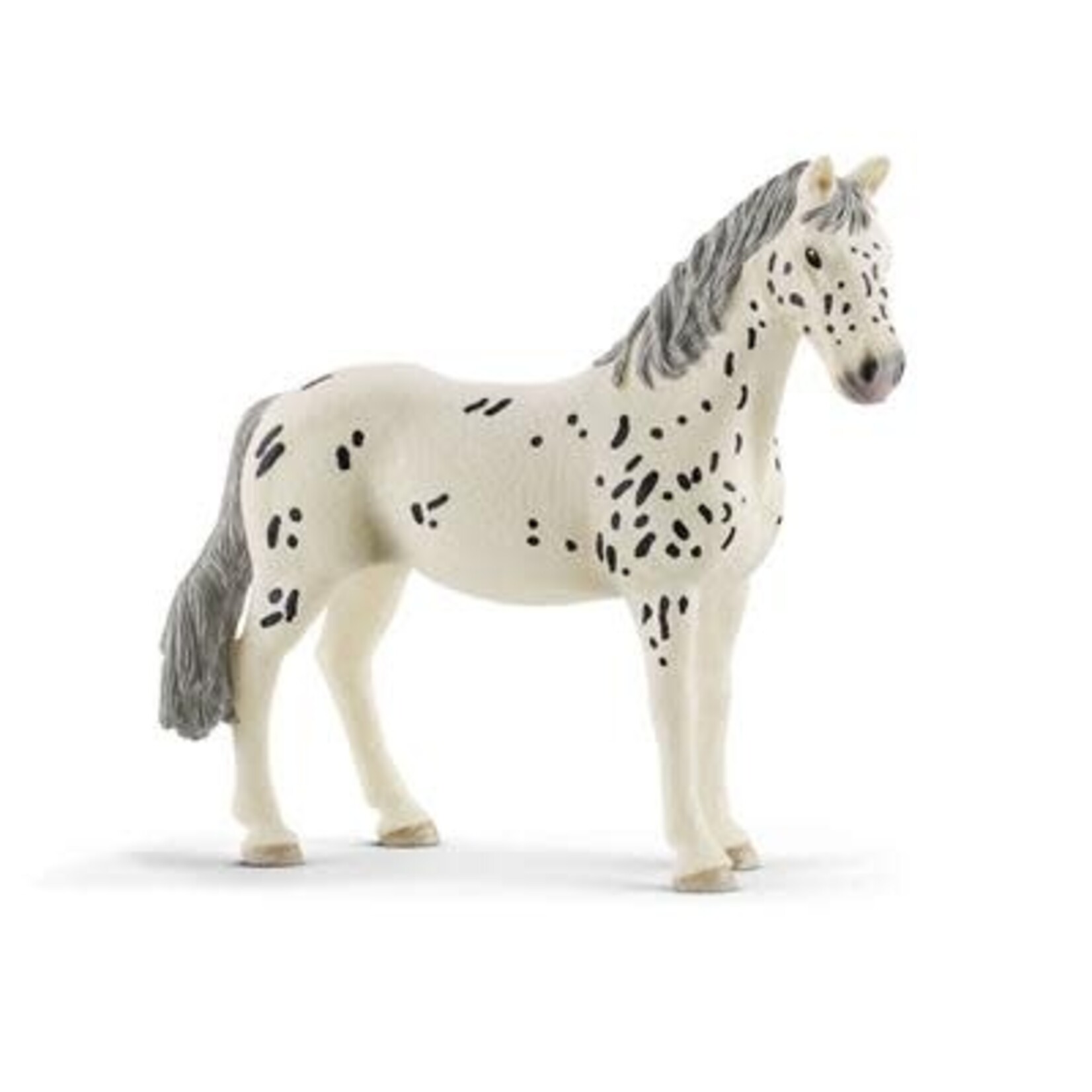 Schleich SCHLEICH 13910 KNABSTRUPPER MERRIE