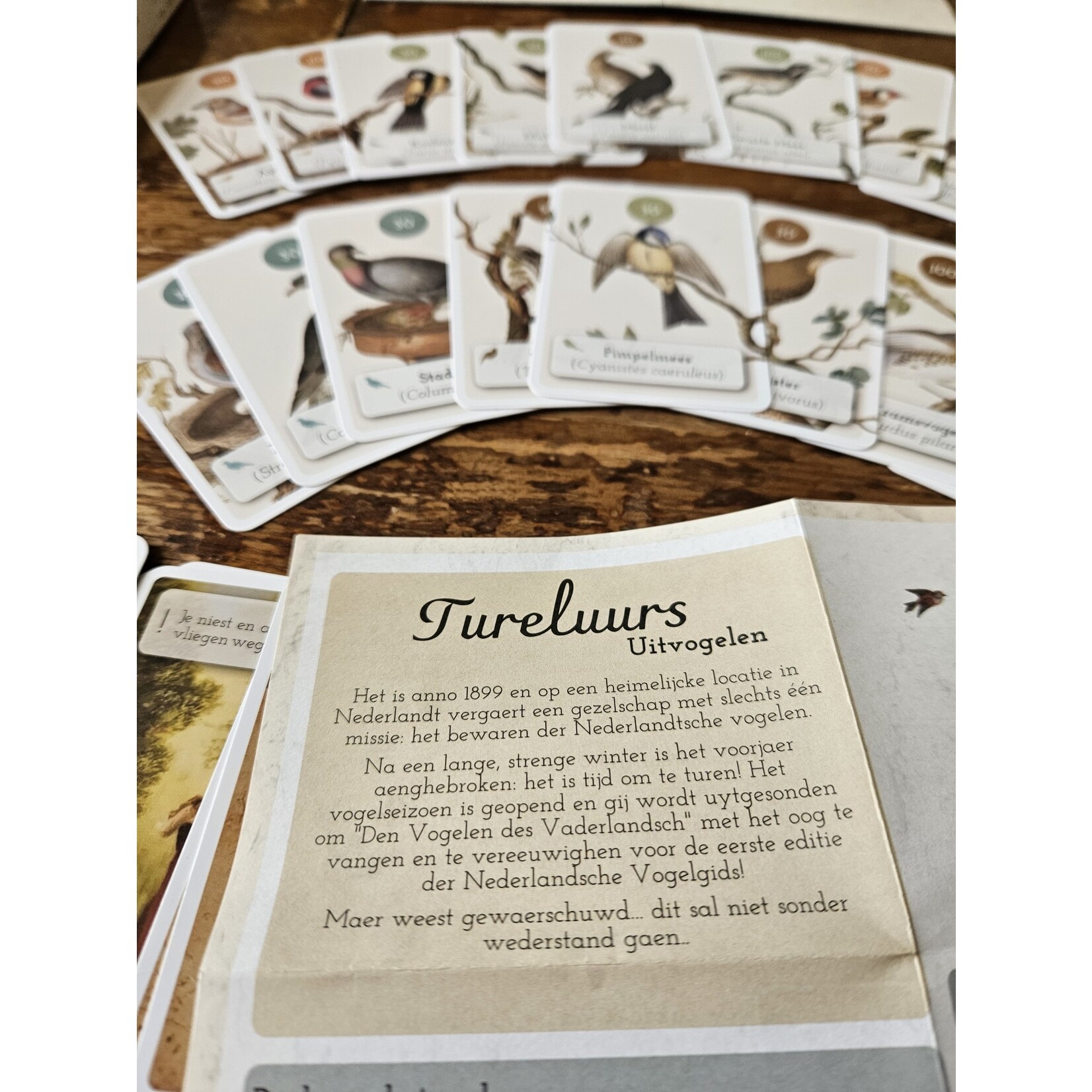Tureluurs Games Tureluurs Vogelspel