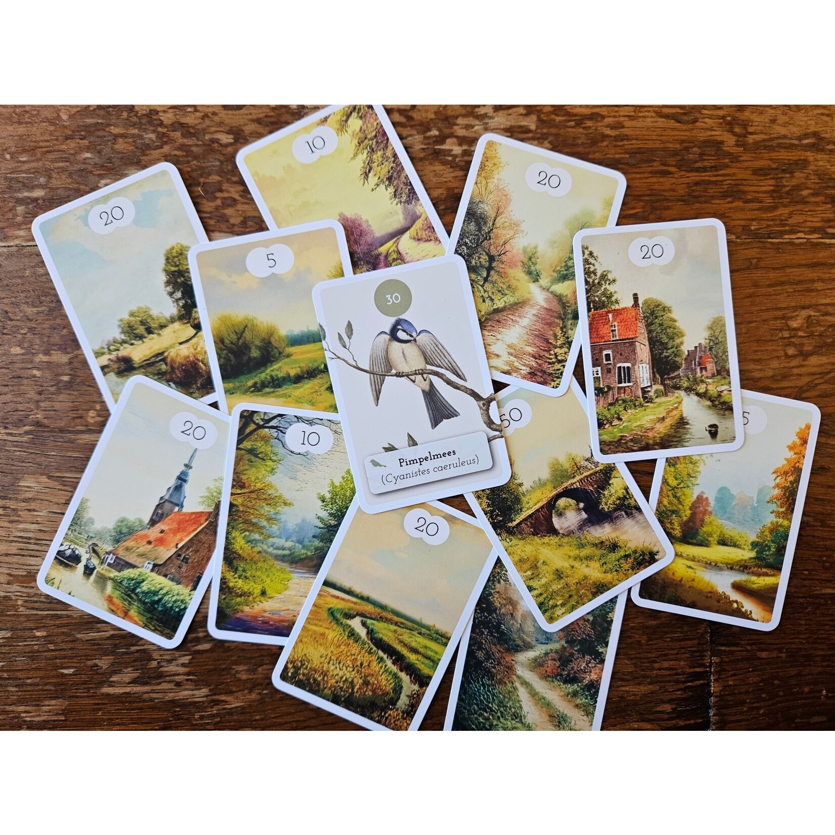 Tureluurs Games Tureluurs Vogelspel