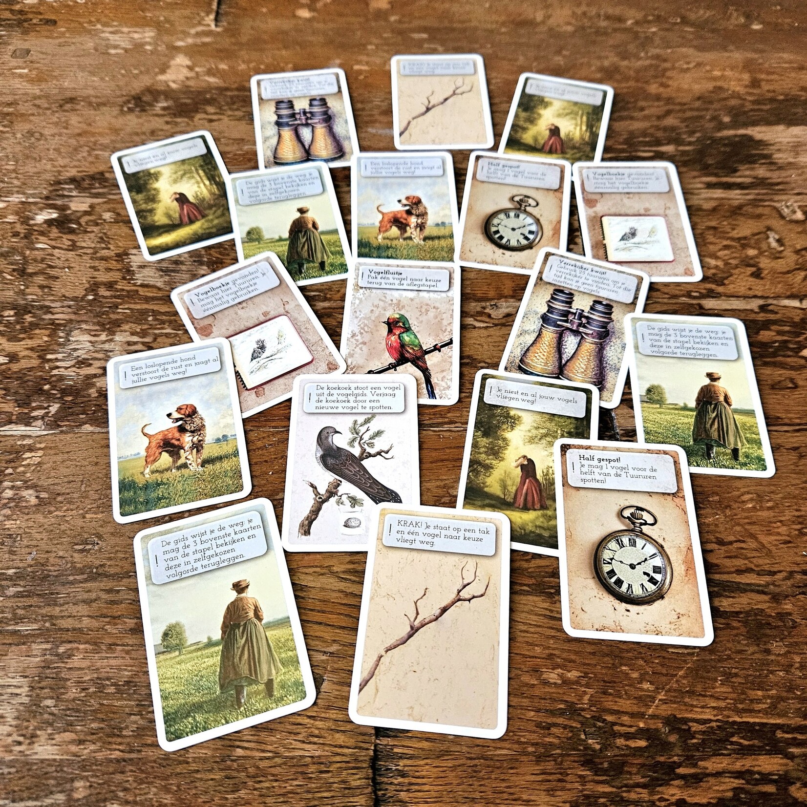 Tureluurs Games Tureluurs Vogelspel