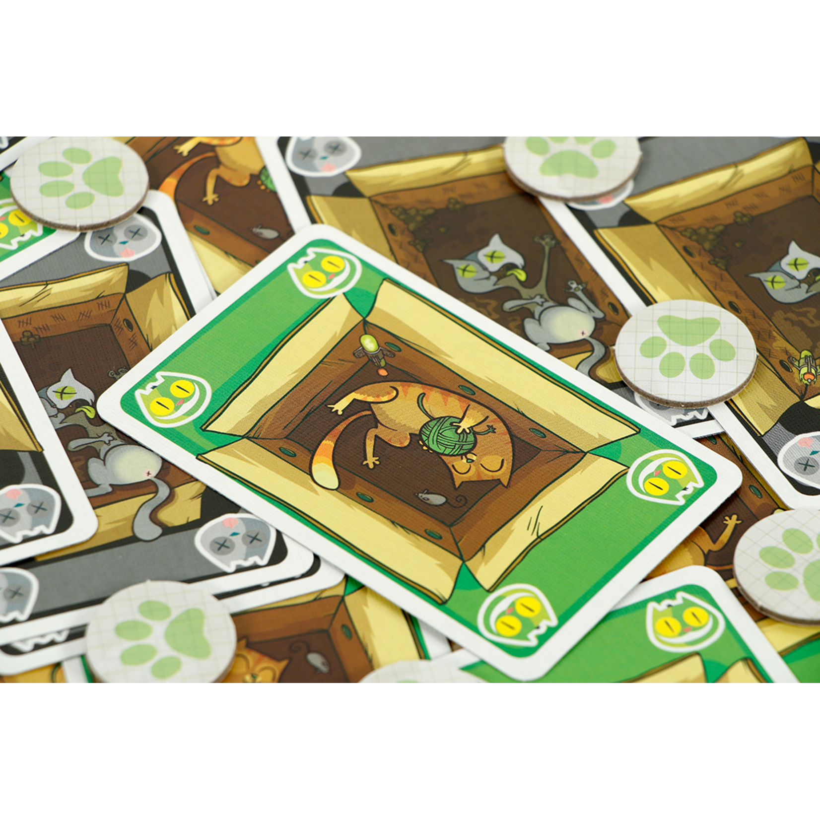 999 Games SPEL Schrödinger's Katten