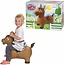 Skippy buddy Skippy Buddy paard