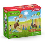 Schleich Schleich Farm World – Paarden Trainingskamp 42481