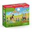 Schleich Schleich Farm World – Paarden Trainingskamp 42481