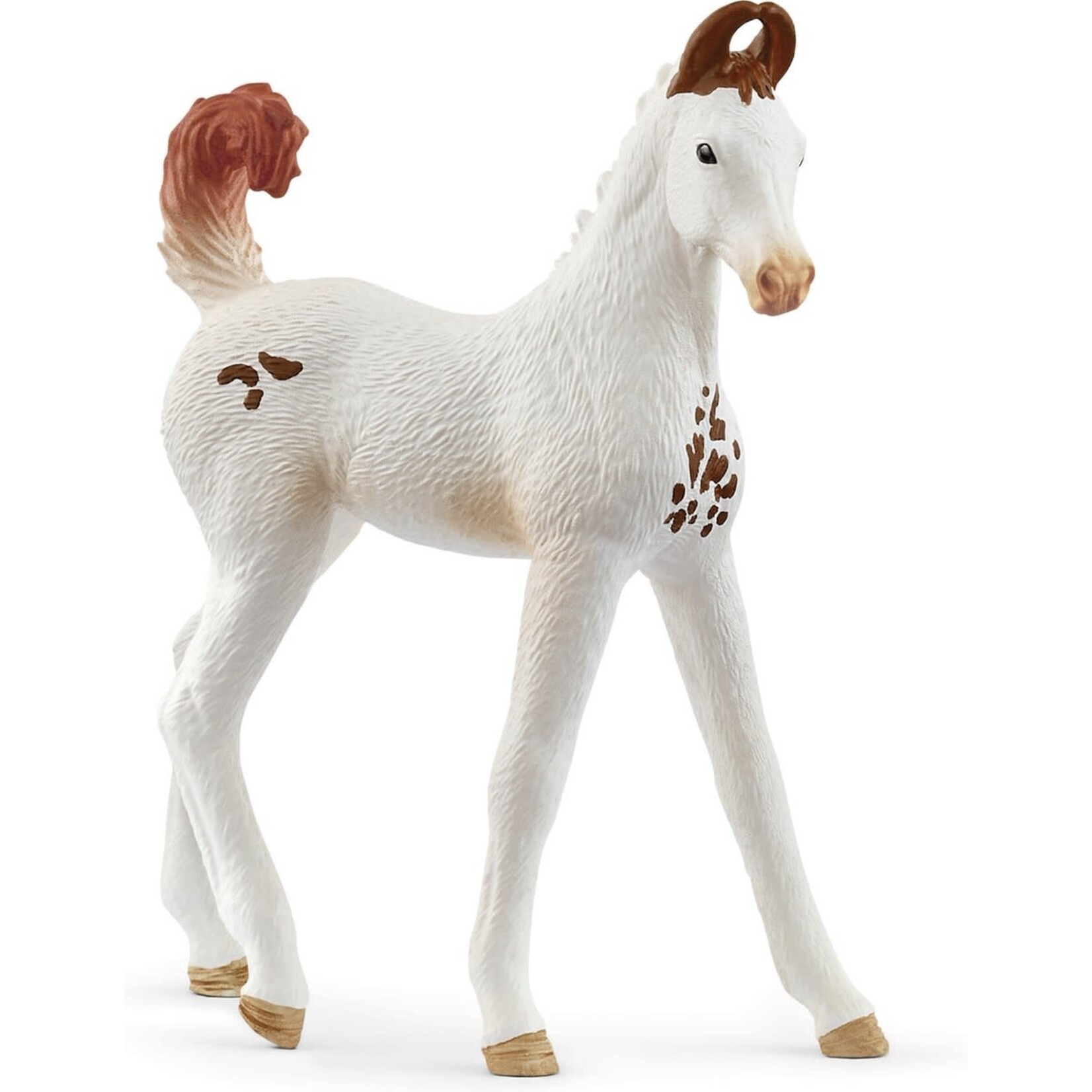 Schleich schleich HORSE CLUB - Marwari Veulen - 14896