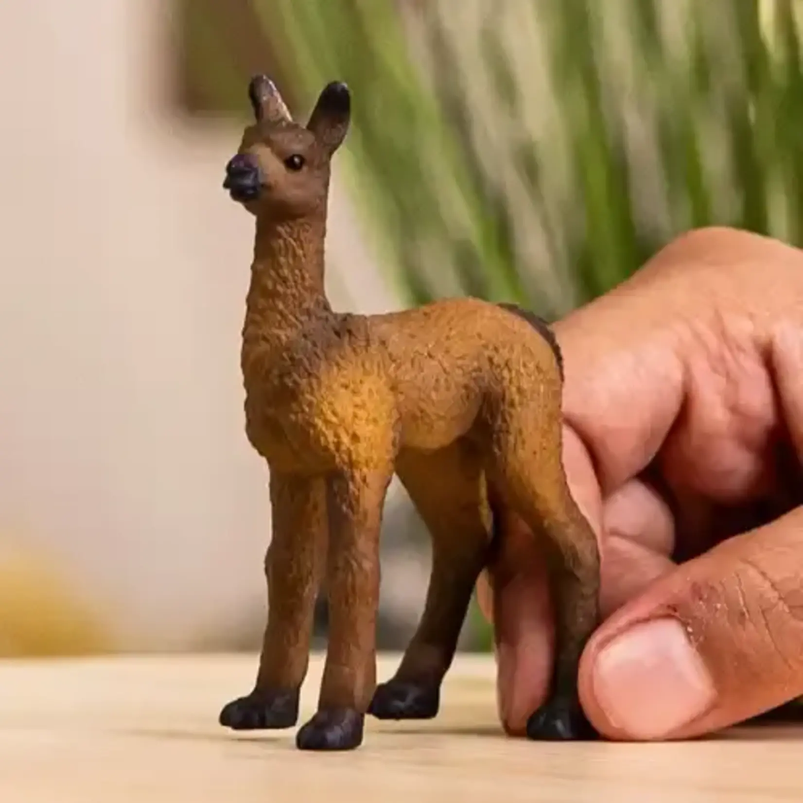 Schleich schleich FARM WORLD - Lama Veulen - 14890
