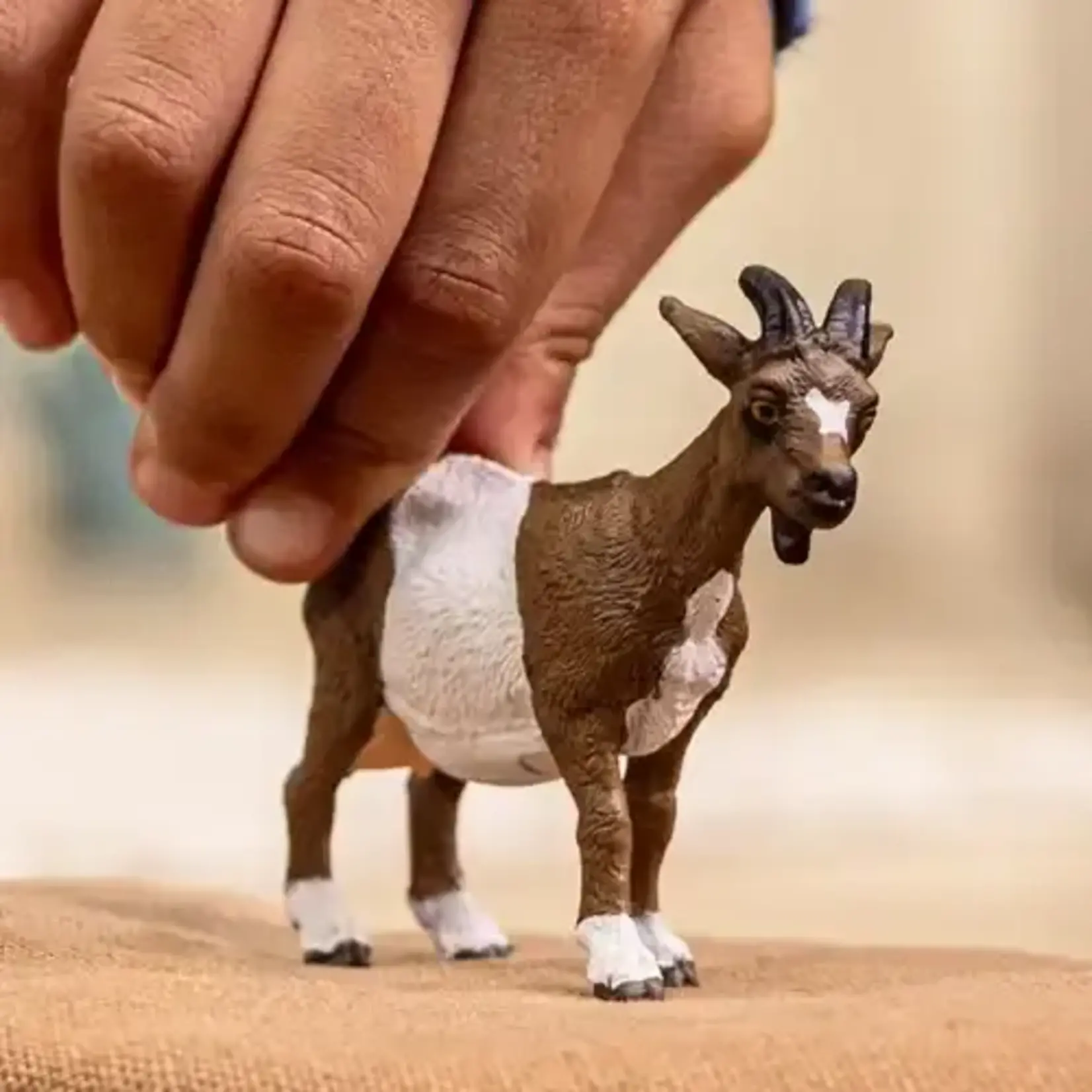 Schleich schleich FARM WORLD - Geit - 14887