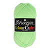 Scheepjes Colour Crafter - 1316 Almelo - 100% Premium Acryl - Groen
