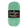Scheepjes Colour Crafter - 1725 Ameland - 100% Premium Acryl - Groen
