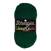 Scheepjes Colour Crafter - 1009 Utrecht - 100% Premium Acryl - Donker Groen