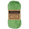 Scheepjes Cahlista - 412 Forest Green - 100% natuurlijk katoen - Groen