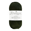 Scheepjes Metropolis - 026 Depok - 75% extra fijne merinowol en 25% nylon - Donker groen