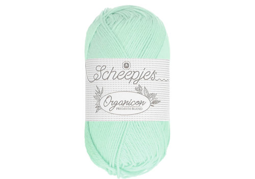 Scheepjes Scheepjes Organicon - 214 Glacier - 100% biologisch katoen - Groen Scheepjes Scheepjes Organicon - 214 Glacier - 100% biologisch katoen - Groen