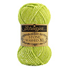 Scheepjes Scheepjes Stone Washed XL - 867 Peridot