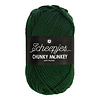 Scheepjes Scheepjes Chunky Monkey - 1009 Pine