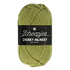 Scheepjes Scheepjes Chunky Monkey - 1065 Sage