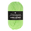 Scheepjes Chunky Monkey - 1316 Pistachio - 100% Premium Acryl - Groen
