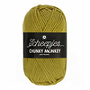 Scheepjes Chunky Monkey - 1712 Bumblebee - 100% Premium Acryl - Groen