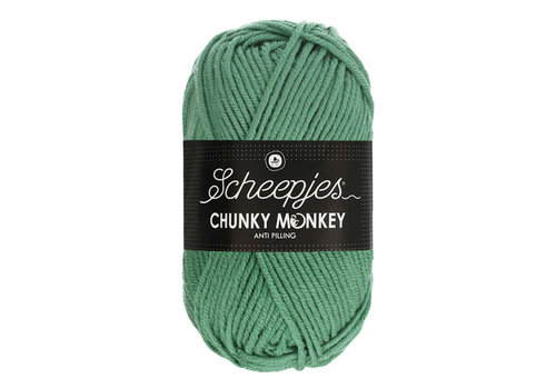 Scheepjes Scheepjes Chunky Monkey - 1725 Eucalyptus - 100% Premium Acryl - Groen Scheepjes Scheepjes Chunky Monkey - 1725 Eucalyptus - 100% Premium Acryl - Groen
