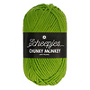 Scheepjes Scheepjes Chunky Monkey - 2016 Fern